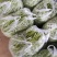 四季豆无筋豆基地直发品质优良质量保障量大从优