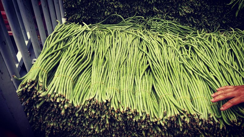 豇豆大量上市有需要的老板联系