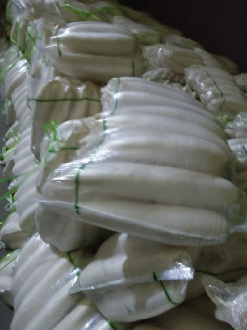 白萝卜大量供应欢迎光临