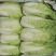 蔬菜