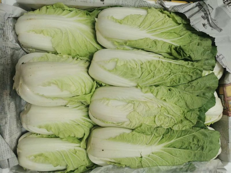 蔬菜