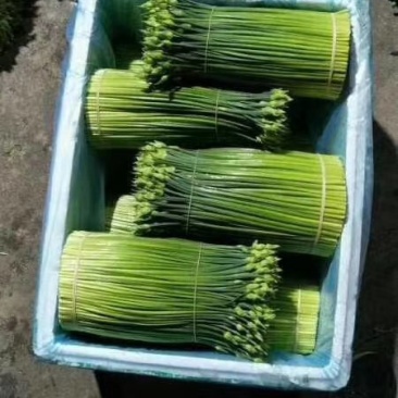 蔬菜