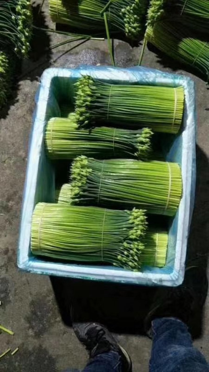 蔬菜