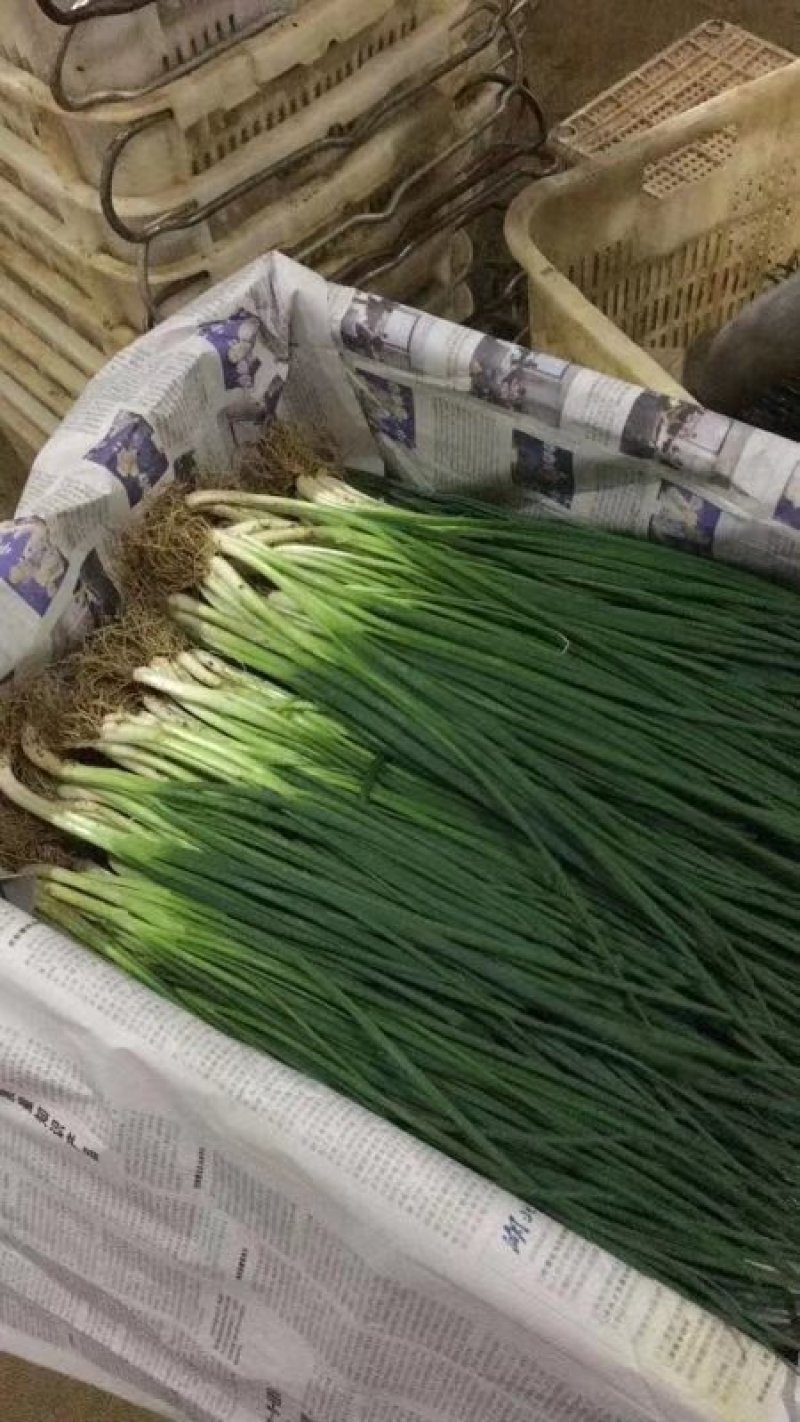 蔬菜