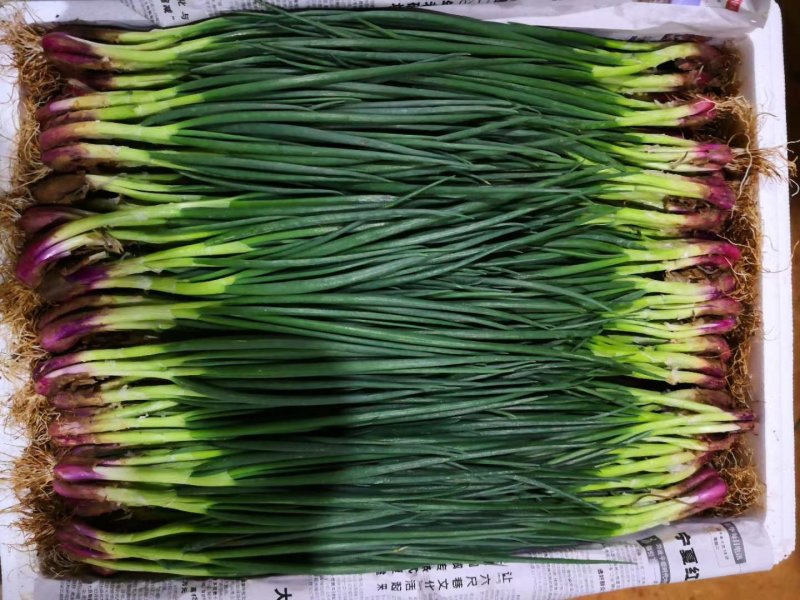 蔬菜