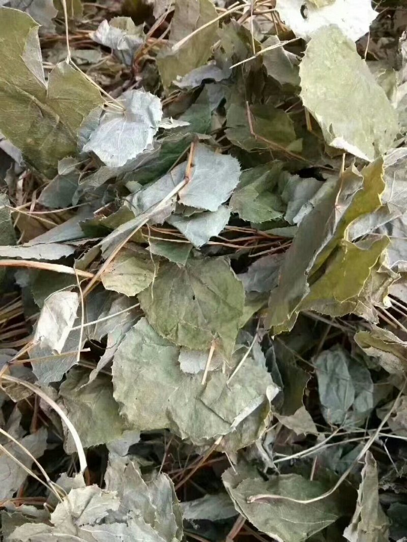 __淫羊藿__（精品货）纯野生货质量保证