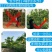 双面覆纸防水强力粘虫板大棚果园茶园粘蚜虫小飞虫蓟马专用板