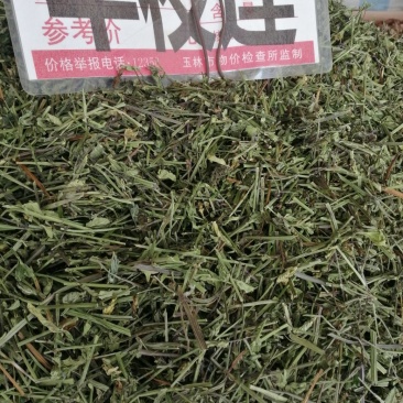包邮半枝莲，新货，货干颜色青绿，大量现货供应