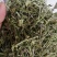 包邮半枝莲，新货，货干颜色青绿，大量现货供应