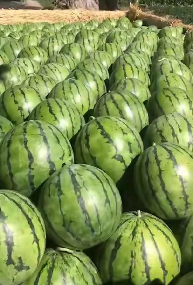 吉林京欣薄皮大红瓤，瓜漏，二茬大量上市，价格合理