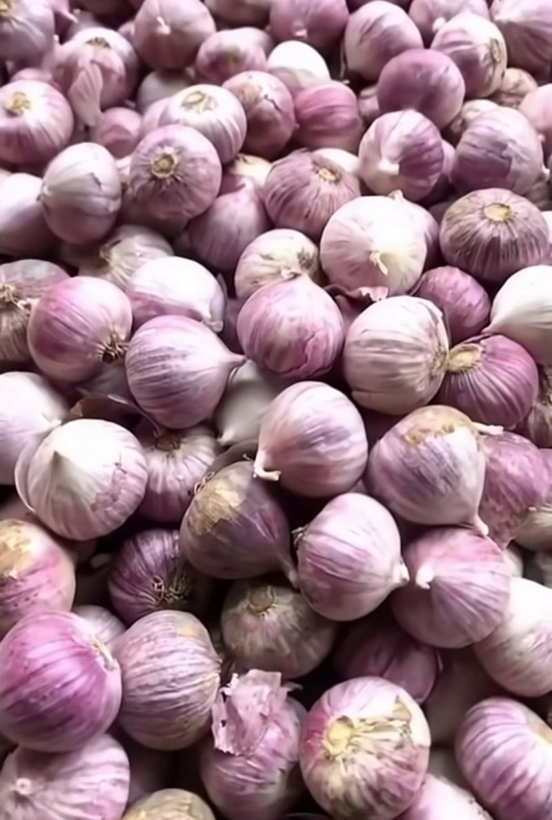 独头蒜，鲜瓣蒜6月即将大量上市