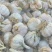独头蒜，鲜瓣蒜6月即将大量上市