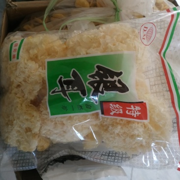 银耳木耳
