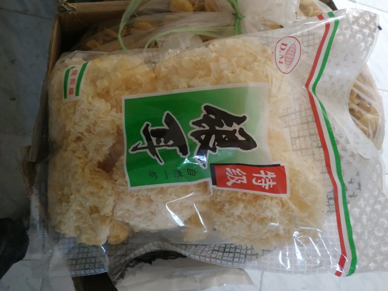 银耳木耳