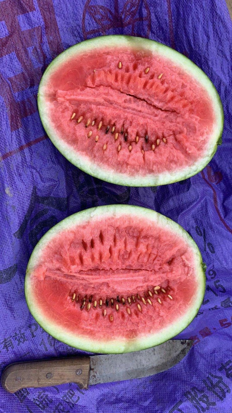 甜王