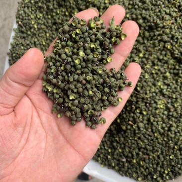 跑江湖展会地摊热卖汉源青花椒干花椒一生货源