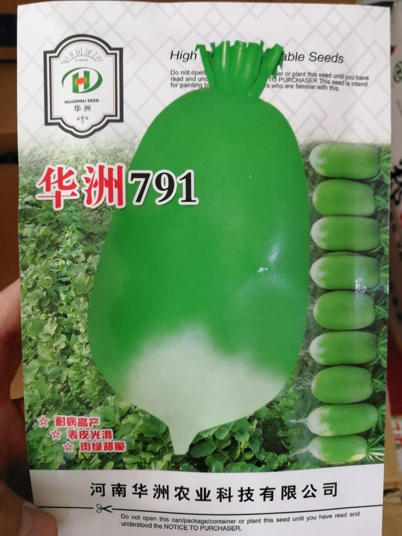 杂交萝卜绿玉绿翡翠萝卜种子质量好绿皮绿肉个头发抗性好