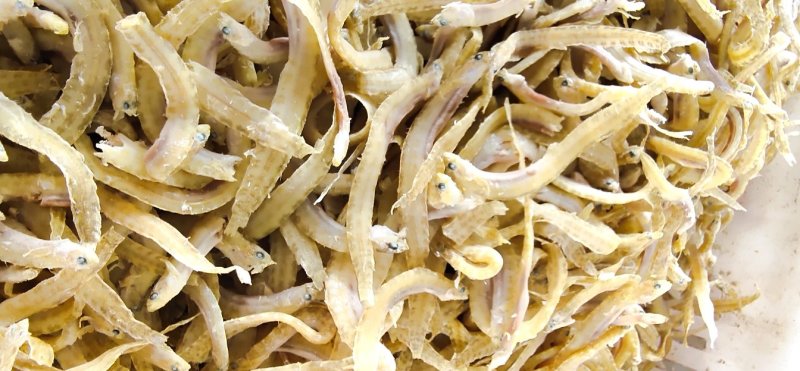 凤尾鱼产地直销（大小条）口感鲜香肉质劲道小食品好食材
