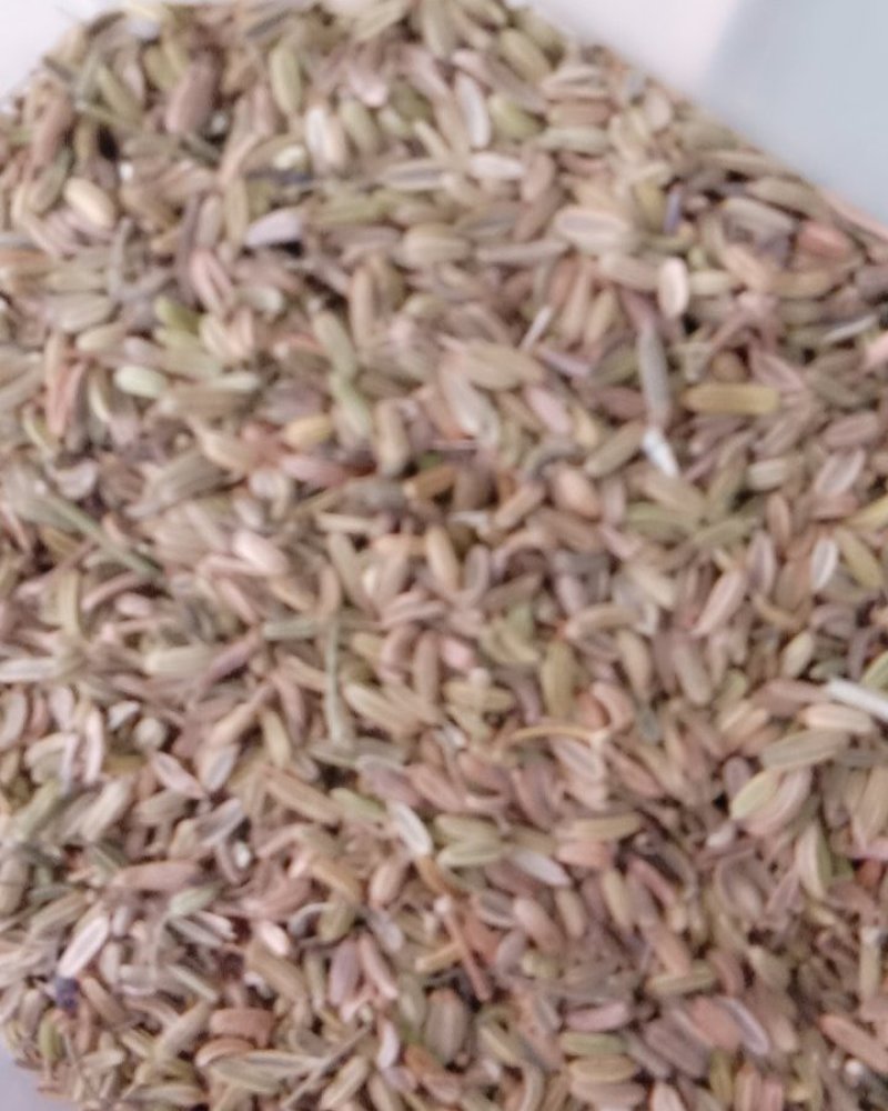 小茴香，常年批发供应药食同源小茴香中药材