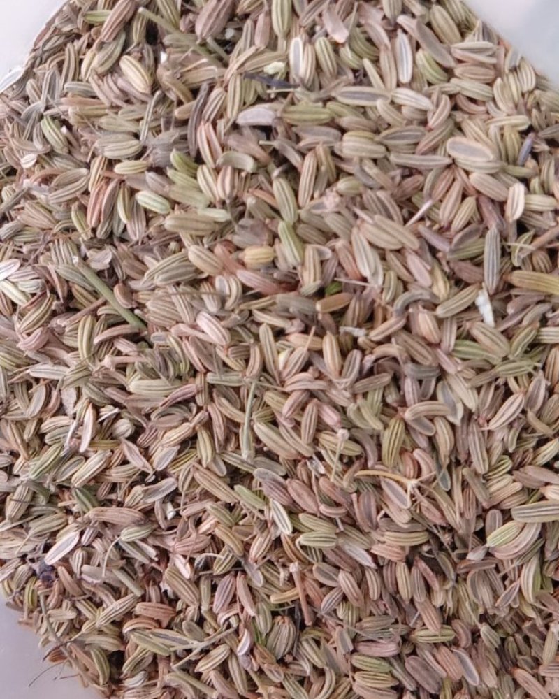 小茴香，常年批发供应药食同源小茴香中药材