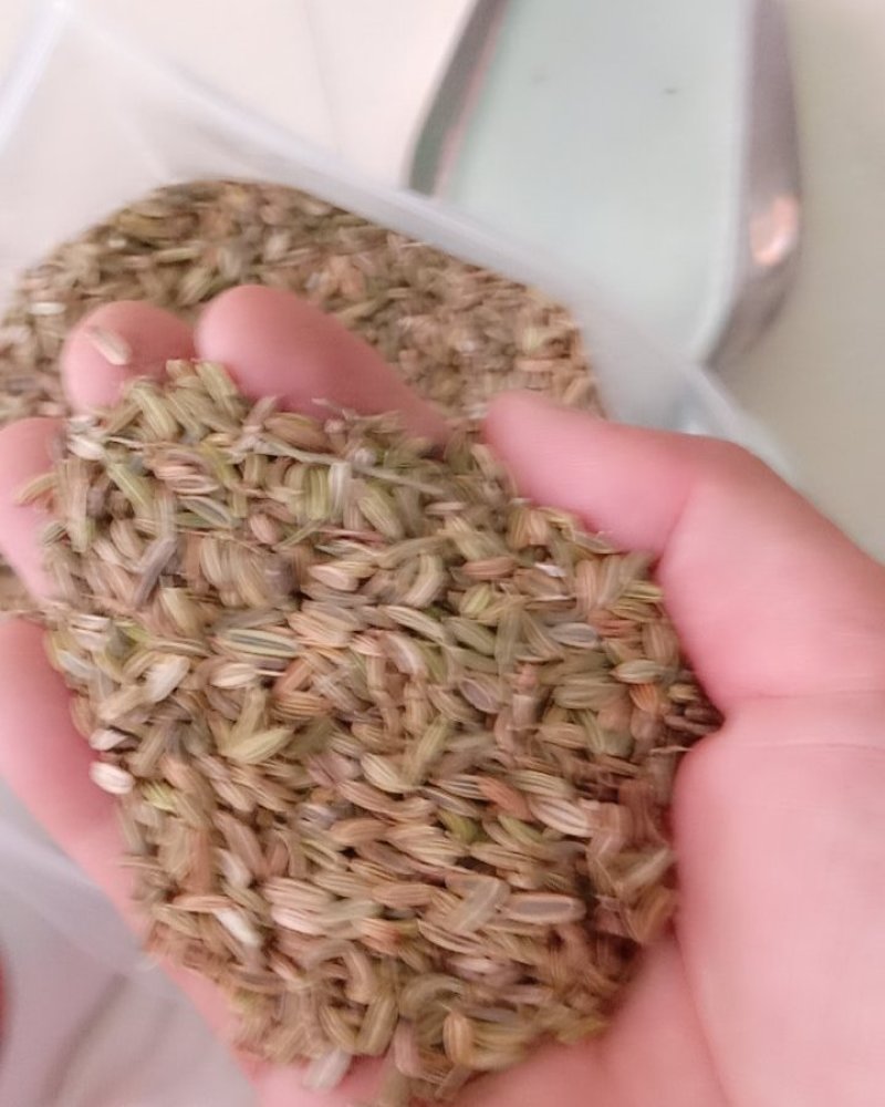 小茴香，常年批发供应药食同源小茴香中药材