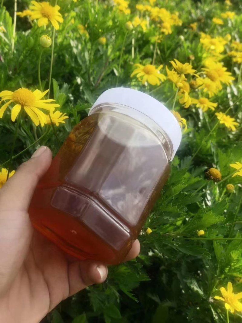 蜂蜜自己家养的农村纯蜂蜜