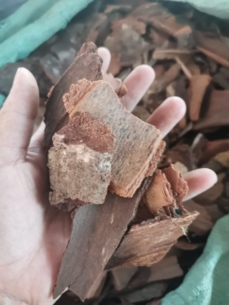 地枫皮正品野生高含量（选装货）一公斤起包邮