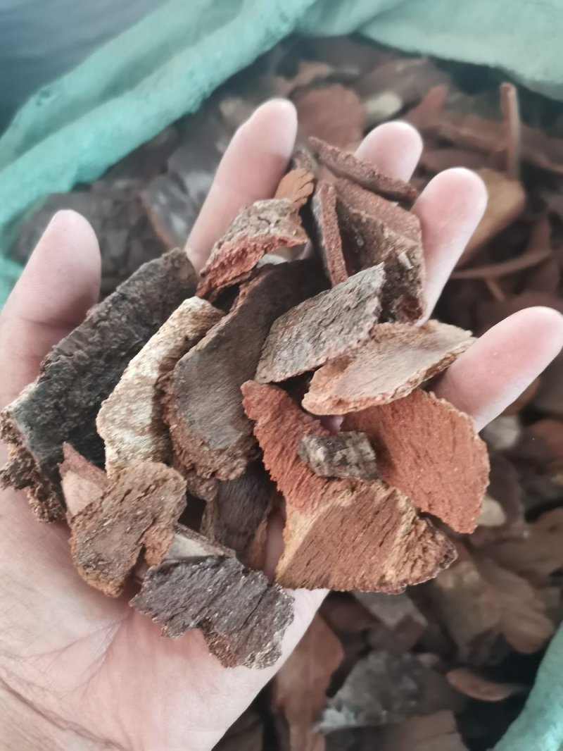 地枫皮正品野生高含量（选装货）一公斤起包邮