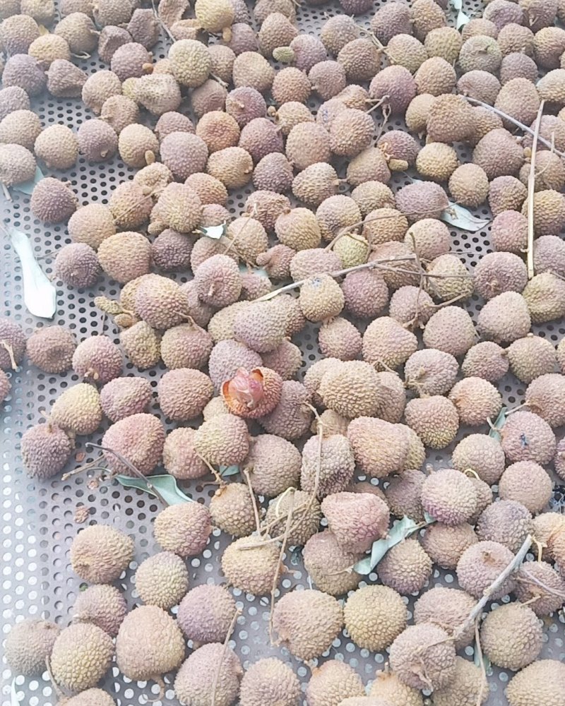 妃子笑荔枝干，黑叶荔也有货了