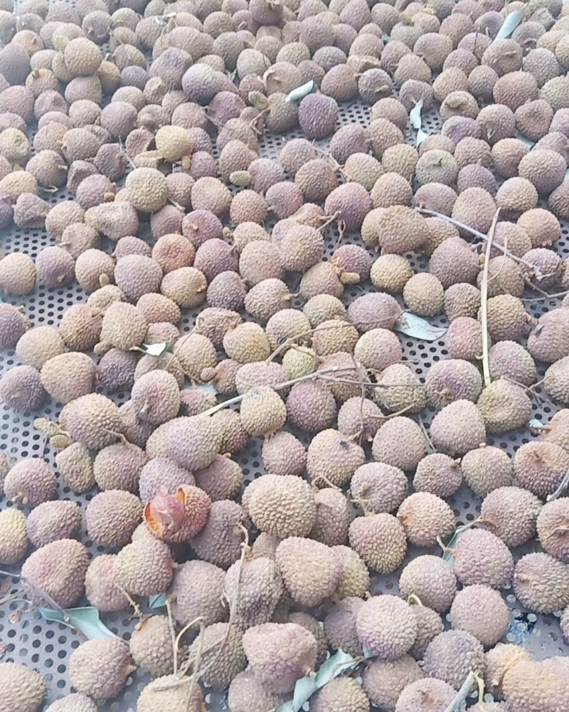 妃子笑荔枝干，黑叶荔也有货了