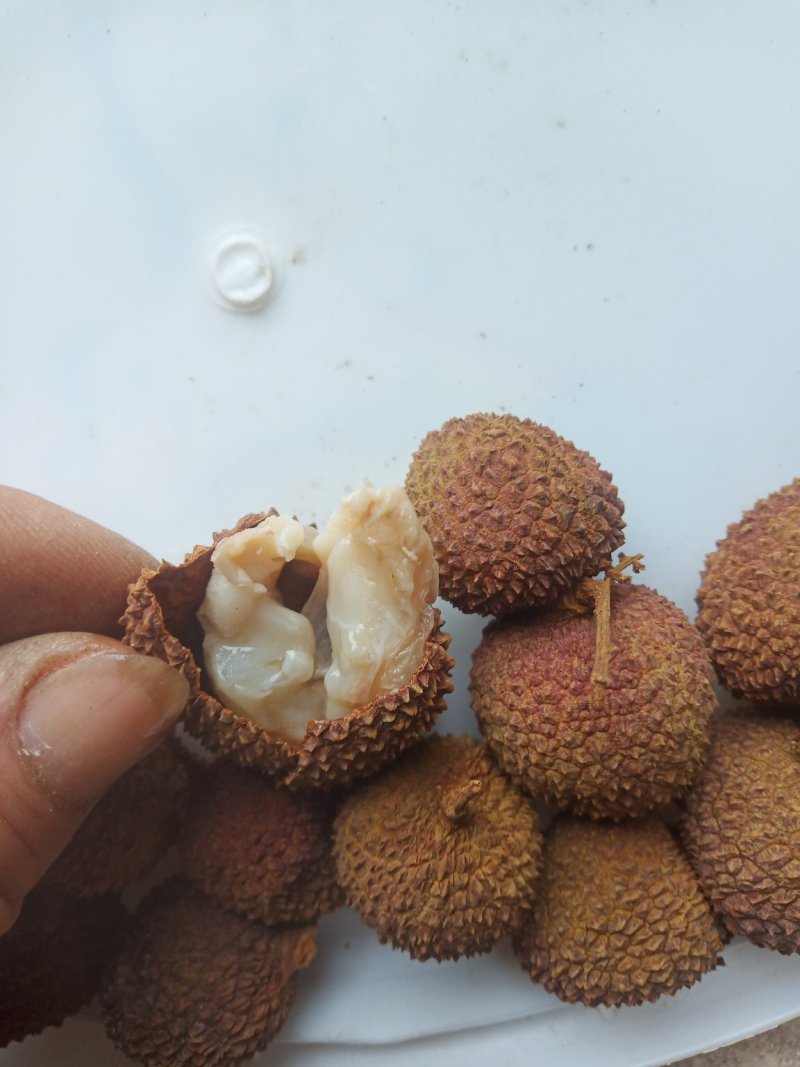 妃子笑荔枝干，黑叶荔也有货了