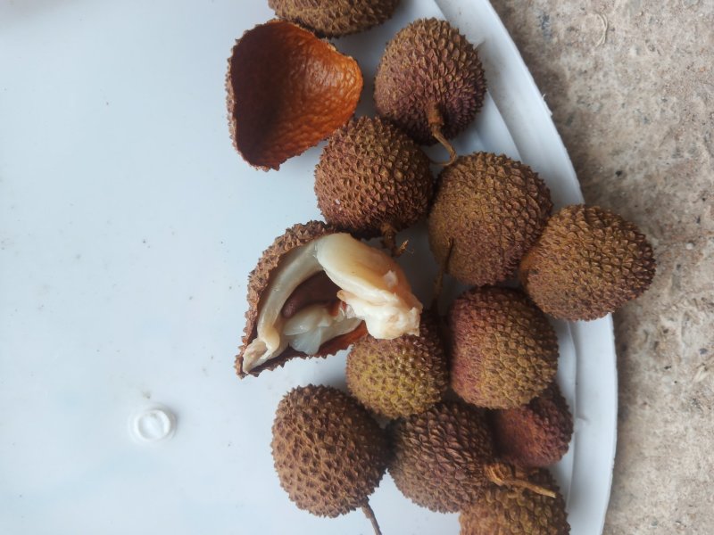 妃子笑荔枝干，黑叶荔也有货了