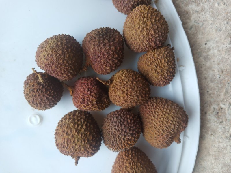 妃子笑荔枝干，黑叶荔也有货了