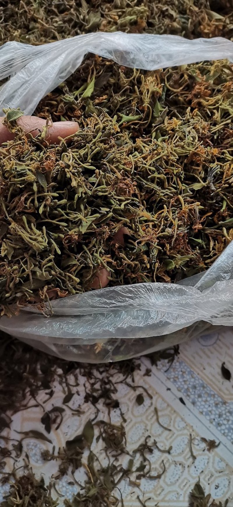 自然晒干无硫野生家种金银花