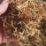 自然晒干无硫野生家种金银花