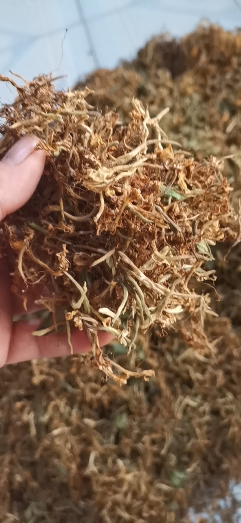 自然晒干无硫野生家种金银花