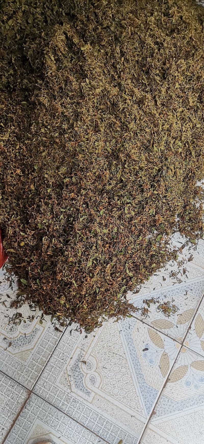 自然晒干无硫野生家种金银花
