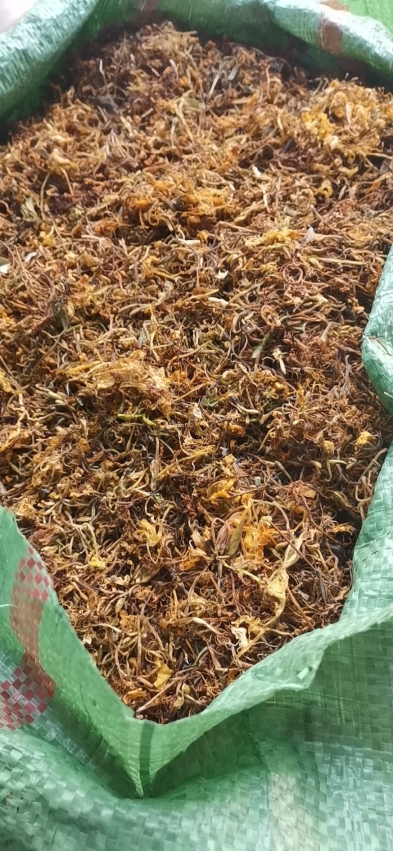 自然晒干无硫野生家种金银花