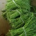 精品长豆角河南开封豆角，青条长豆角，豇豆角。质量好品质