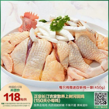 鸡