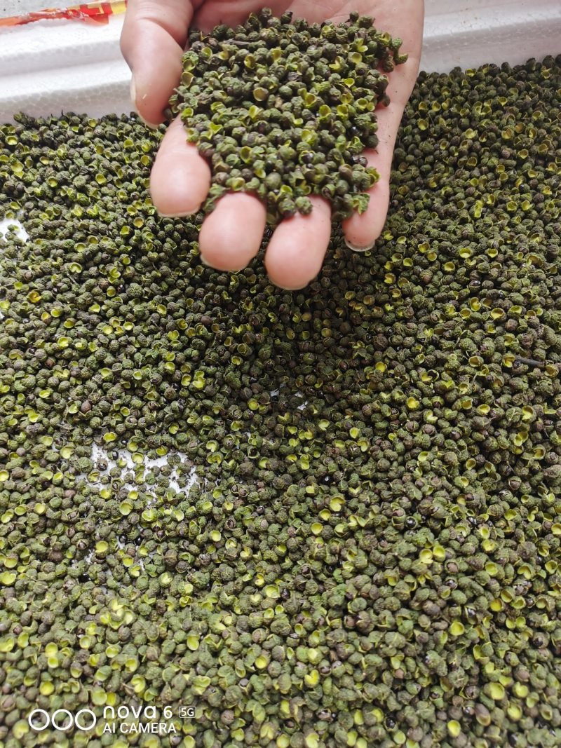 汉源干青花椒干花椒可视频看货上门提货