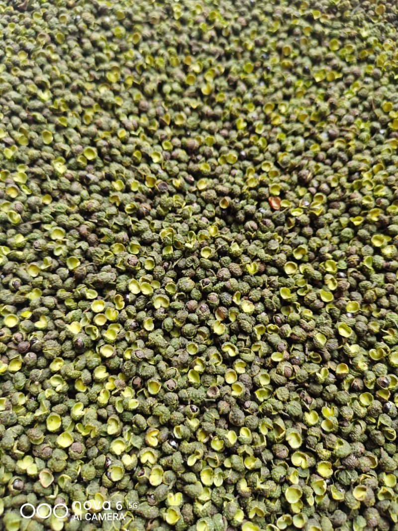 汉源干青花椒干花椒可视频看货上门提货