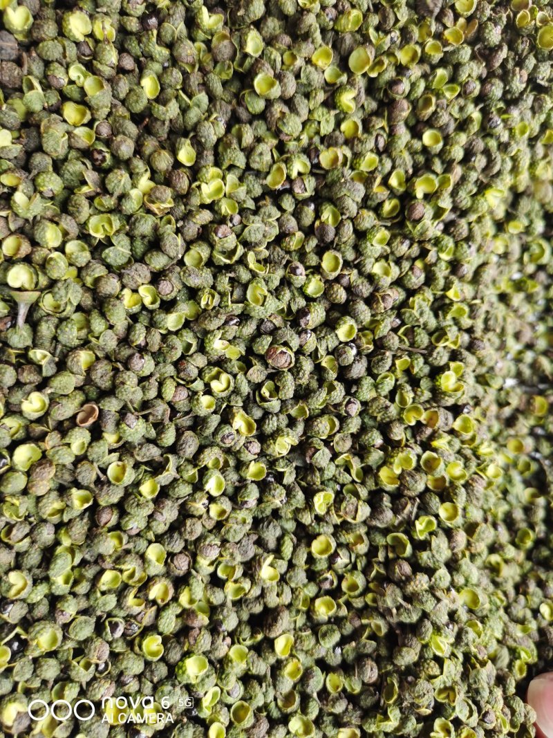 汉源干青花椒干花椒可视频看货上门提货