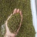 汉源干花椒，一件60斤，质量好，开口多！