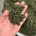 干花椒正宗江津干花椒大量现货一手货源现货