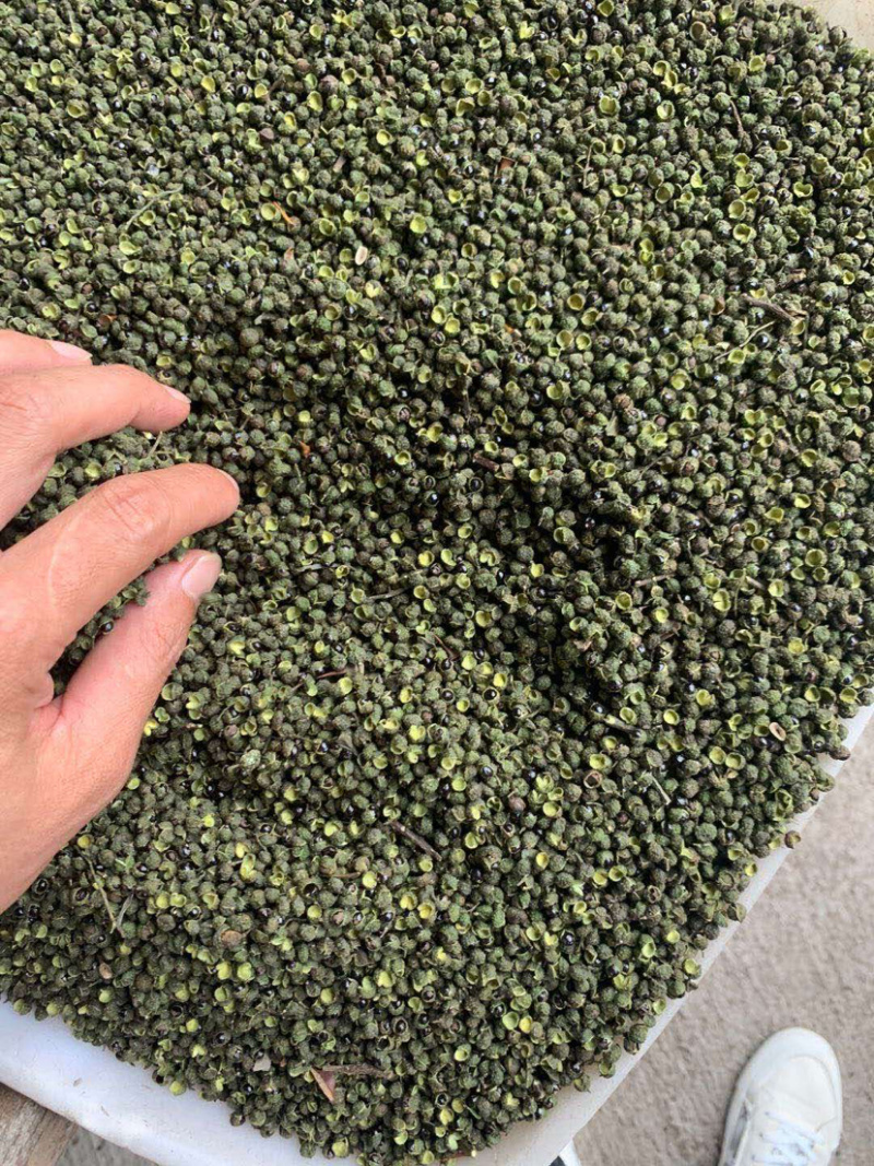 干花椒正宗江津干花椒大量现货一手货源现货