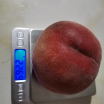毛桃