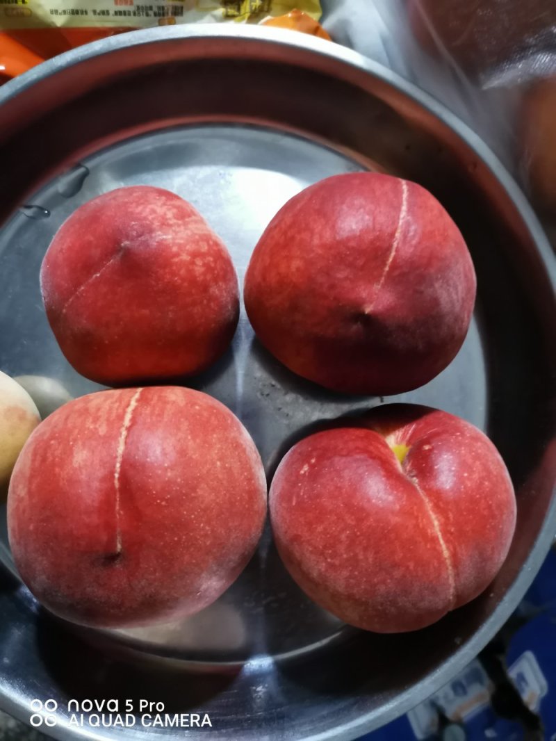 毛桃