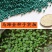 马蹄金种子草籽草坪种子小金钱草铜钱草种子四季常青耐高温绿