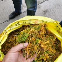 金银花（山银花），湖南湘宇农业优质产品今年新货上市价格美